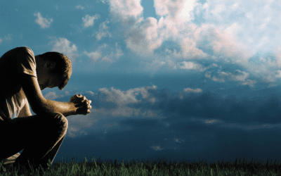December 2020 Ranch Updates…