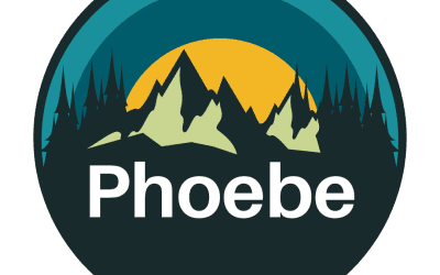 Phoebe